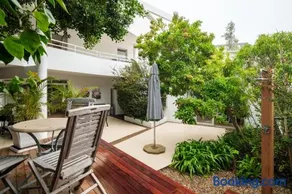 Silvertree - Image 4