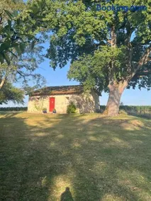 La Suite au coeur des vignes - Image 1