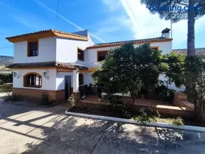 Paredejas del Rey - Image 2
