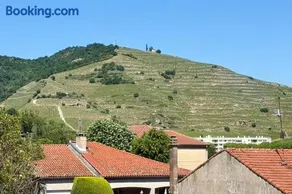 Les Coteaux d'Anaïs - Tournon-sur-Rhône - Image 2