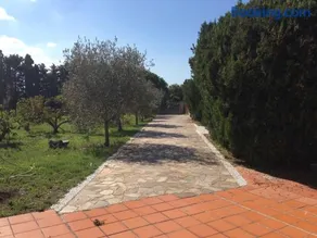 S. Giorgio - Image 3