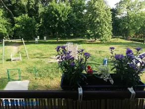 Apartament pod Morwą - Image 3