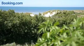 Mamoune - Image 2