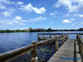 Disney Backyard Oasis - Image 1