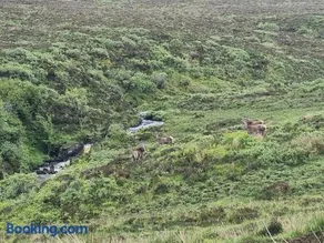 An Cois Na H-Aibhne - Image 2