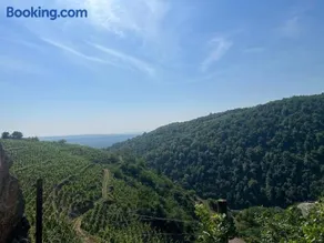 Au Cœur des Vignes - Image 2