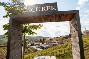 Posestvo Ščurek wine - Image 1