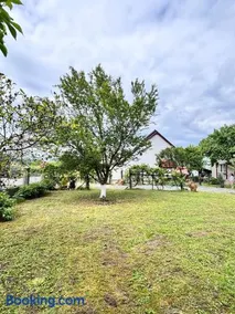 House Bumba - Image 2