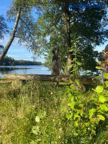 Åvillan - River house - Image 2