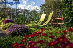 Il Giardino dei Pavoni - Image 3