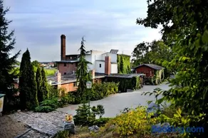 Korona - Image 2