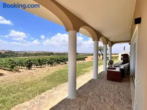 Villa Colle dei Vigneti - Sardinian Vineyard Estate - Image 3