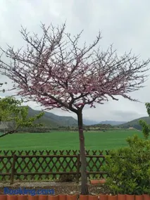 La Casa Del Llano - Image 3