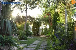 Five stars in Trikala - Image 3