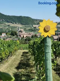 Agriturismo Mondo - Image 2