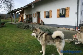 Ferienhaus Winter - Image 3