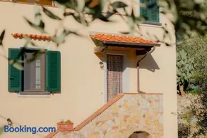 La Dolce Vita - Image 4