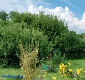Les Fougères - Image 2