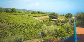 Le Case Del Merlo Turismo Rurale - Image 4