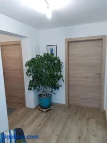 Ferienwohnung Trauntschnig - Image 4