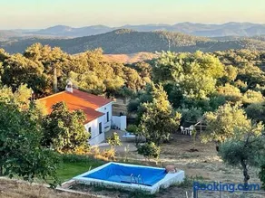 La mimosa - Image 1