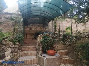 Hortensia Garden - Image 3