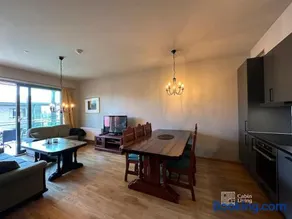 Modern Apartment in Trysil Lodge Ski in out - Image 3