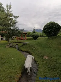 Casa de vacanța Marin - Image 2