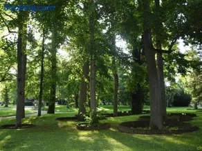 Appartement lumineux 4* pour 2 à Vittel, proche thermes, WiFi, parking gratuit - Image 3