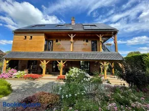 Hallerbos B&B in Bluebell Forest - Image 1