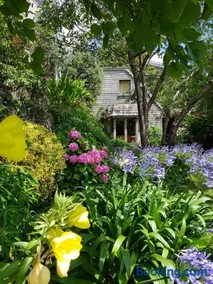 Home Sweet Home - Image 1