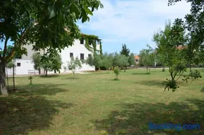 Apartments Niki - Image 5