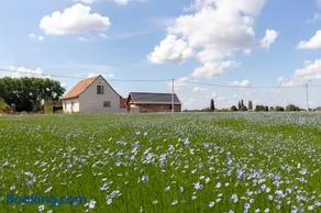 Toetindroaj - Image 1