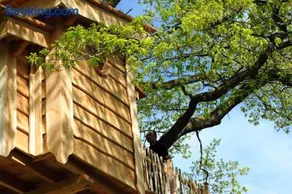 La Cabane du Vieux Chêne - Image 3