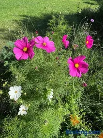 FUVOLEA, Maison de vacances à 15 min du centre d'Aix-en-Provence, piscine chauffée en saison - jardin - parking privé gratuit - Image 4
