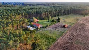 Nocleg na skraju puszczy - Image 5