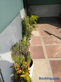 Sachin Yadav Homestay - Image 5