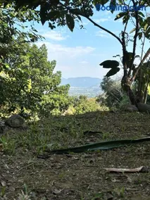 Camping Cantinho da Paz - Image 2