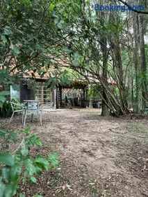 Choupana das Araucárias - Image 2