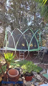 בין עצי הדובדבן - צימר 3 נחל שניר - Image 3