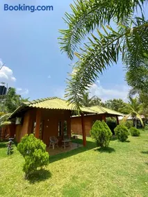 Wild Breeze - Image 1