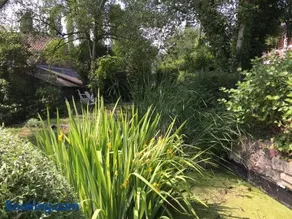 Le Chénia - Image 5