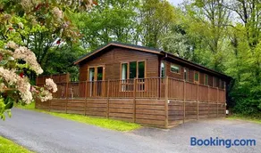 Charming Copse Corner Lodge - Spa Resort - Devon - Image 2