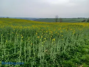 La Ferme Du Marronnier - Image 3