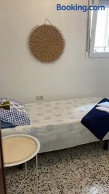 can tica - Image 3