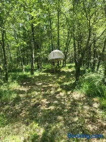 Bulle perchée - Image 2