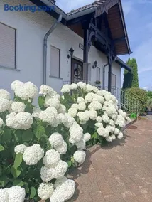 Ferienwohnung Meisenthal nähe Nürburgring - Image 2