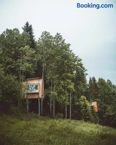 LAUV Tretopphytter - Image 1