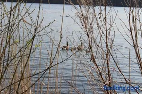 LandBrise - Image 3