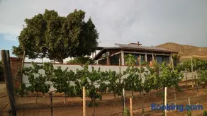 Quinta Sofia Valle de Guadalupe - Image 1